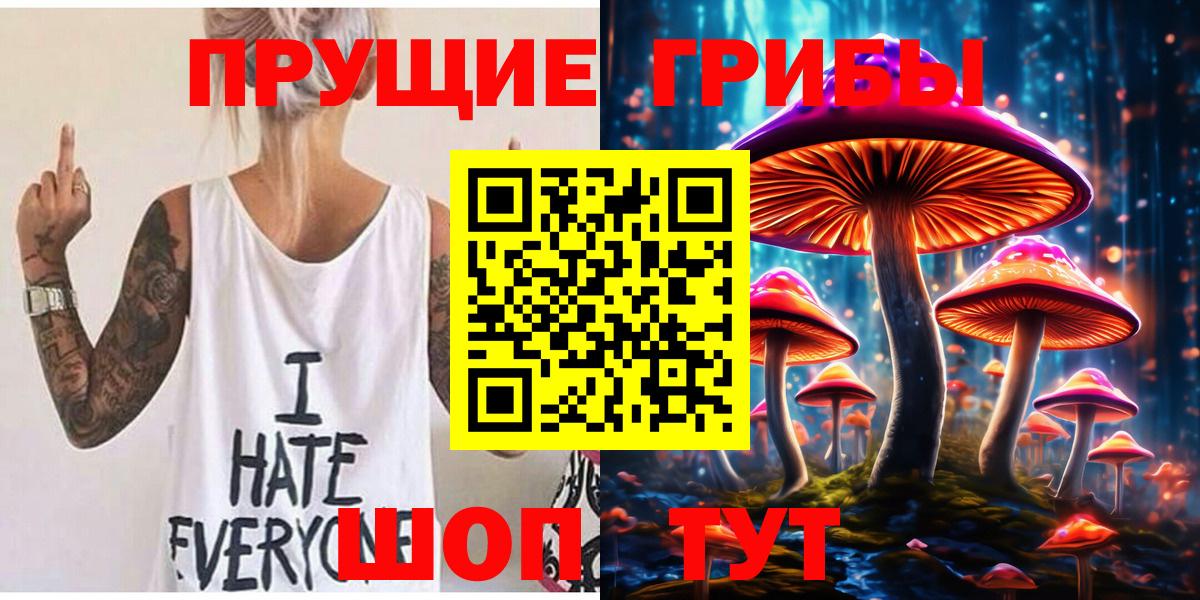 Галлюциногенные грибы Psilocybine cubensis Армавир